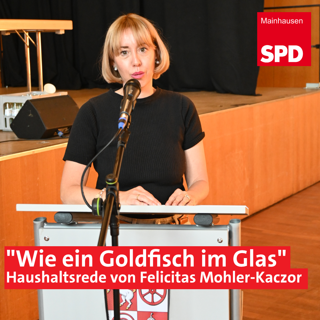 SP_Haushaltsrede2025